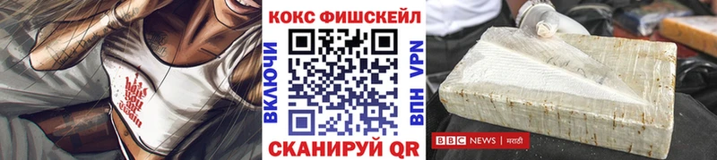 как найти   Бирюсинск  COCAIN Fish Scale 