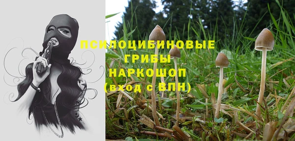 сатива Абинск