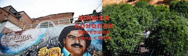амф Рославль