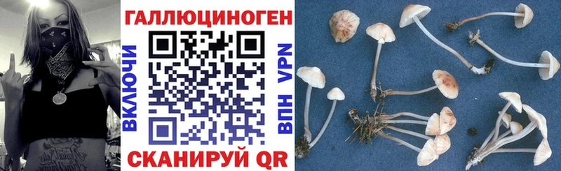 сколько стоит  Бирюсинск  Галлюциногенные грибы прущие грибы 